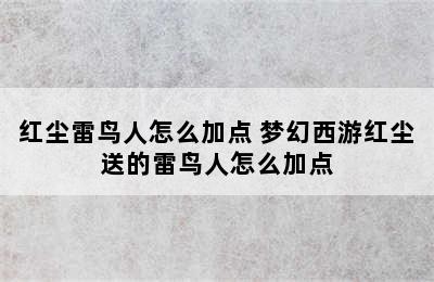 红尘雷鸟人怎么加点 梦幻西游红尘送的雷鸟人怎么加点